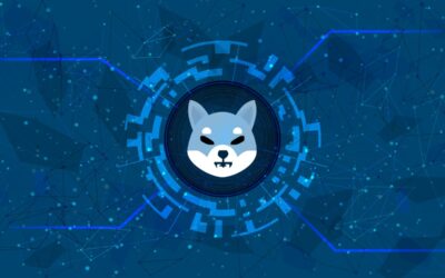 5 redenen om de Shiba Inu coin te kopen